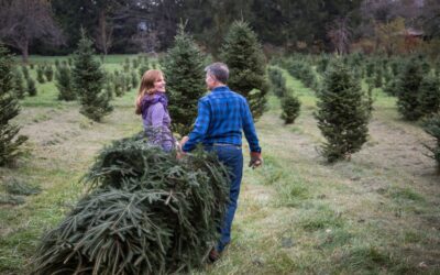 Creating Meaningful Family and Holiday Traditions