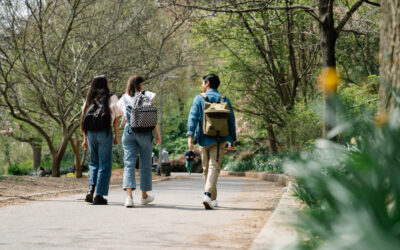 Benefits of Walking after meals