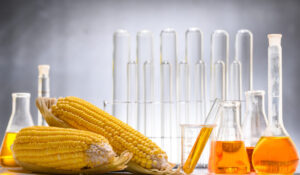 Best corn syrup for senior health