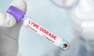 Lyme Disease